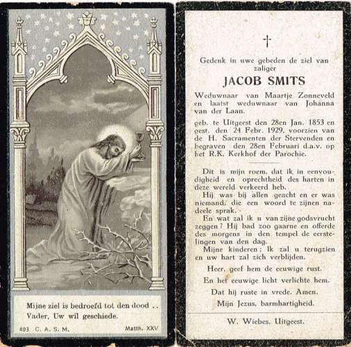 Scan